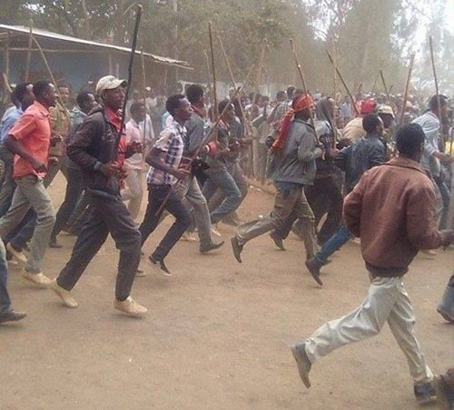 Photo - Oromo protests - Shewa zone