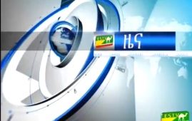 Logo - Ethio-Somali television
