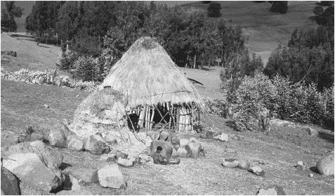Photo - Traditional Ethiopian rural home