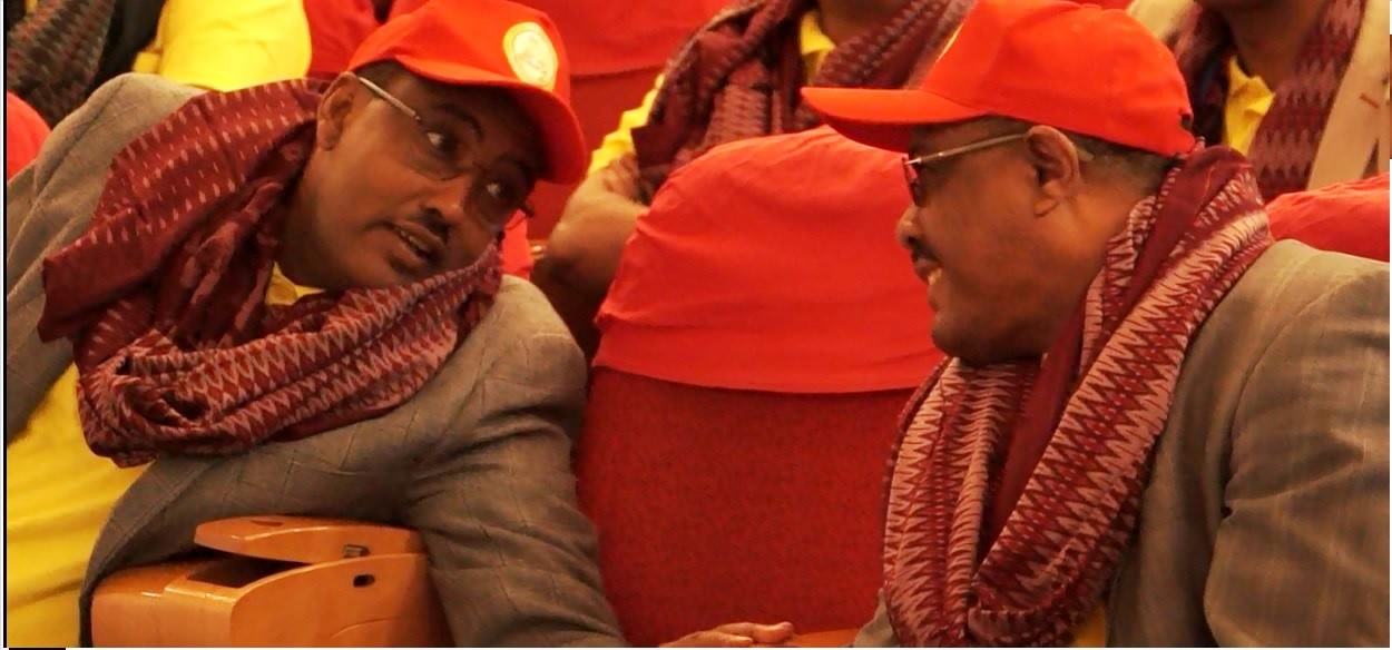 Photo - PM Hailemariam Desalegn (right) and DPM Demeke Mekonen (left) at EPRDF Congress, Mekelle city, August 2015 [Image credit: Awramba times]