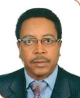 Photo - Alem WoldeGerima, Board Member of Development Bank of Ethiopia