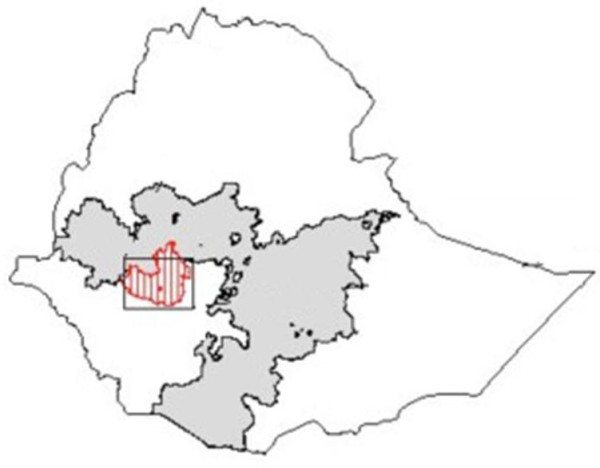 Map - Jimma zone, Oromia, Ethiopia