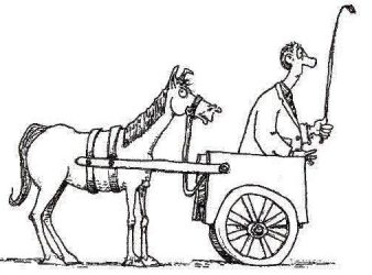 Image - Cart before the horse clipart