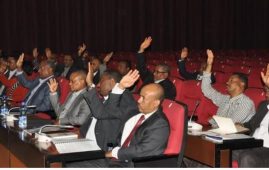 Photo - EPRDF Executive Committee